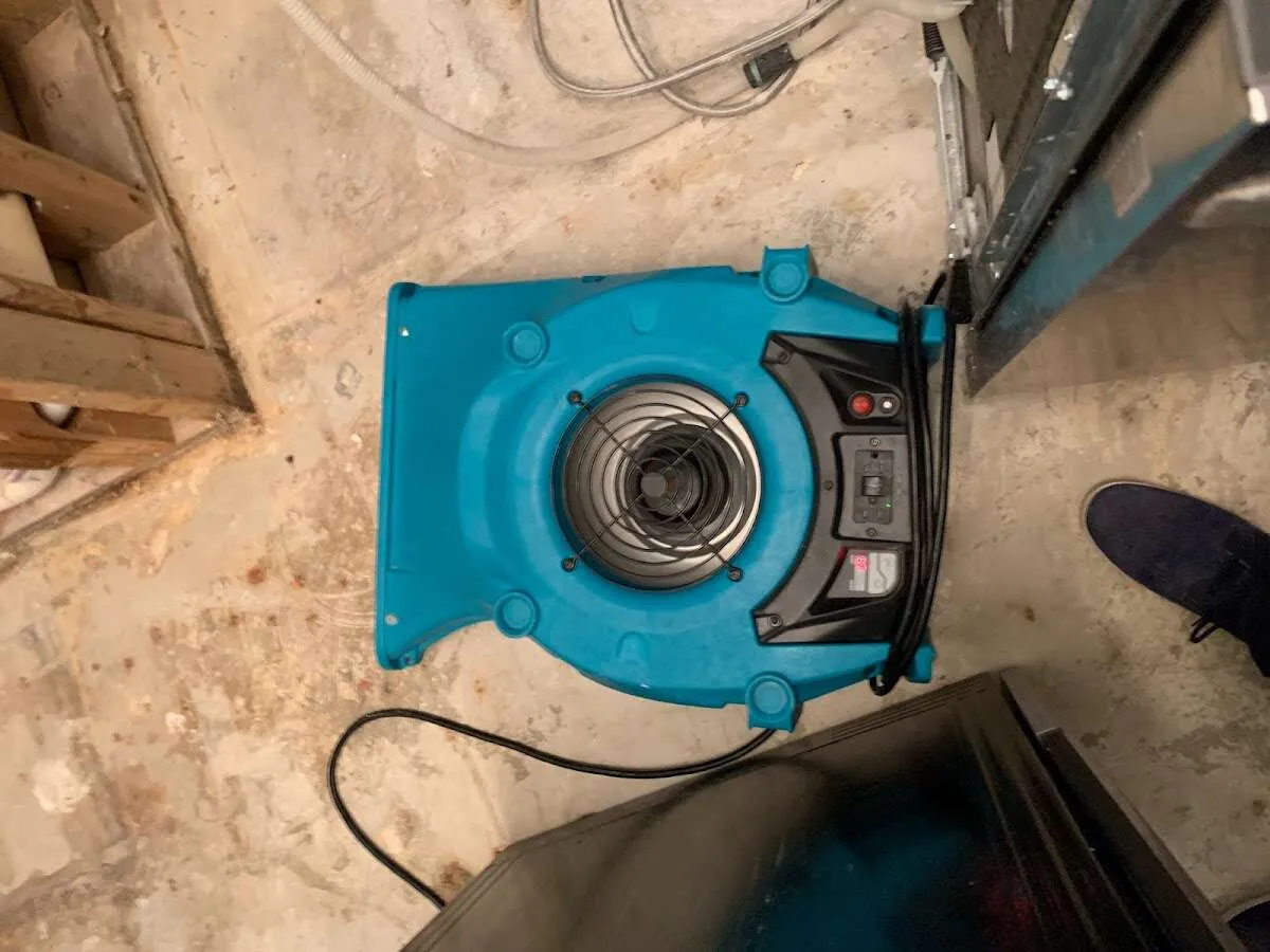Air mover drying equipment for Mold Remediation & Removal in Garden City